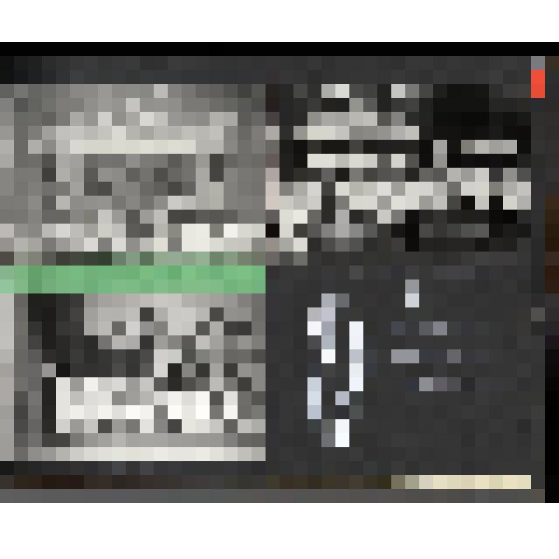 Альбом «Сто лет заводу "Компрессор"». Заводской пионерский лагерь "Ласточка"