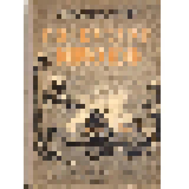 Книга. Созвездие гончих псов /Худ. ред. В. Пахомов. – Москва.-Ленинград.: ЦК ВЛКСМ Издательство детской литературы, 1937 г