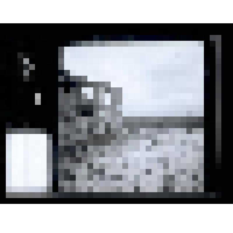 Негатив. Церковь Вознесения Господня. Южный всход на галерею. Коломенское