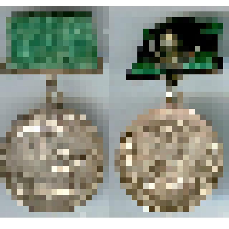 Медаль большая серебряная Всесоюзной сельскохозяйственной выставки Радиной Веры Федоровны