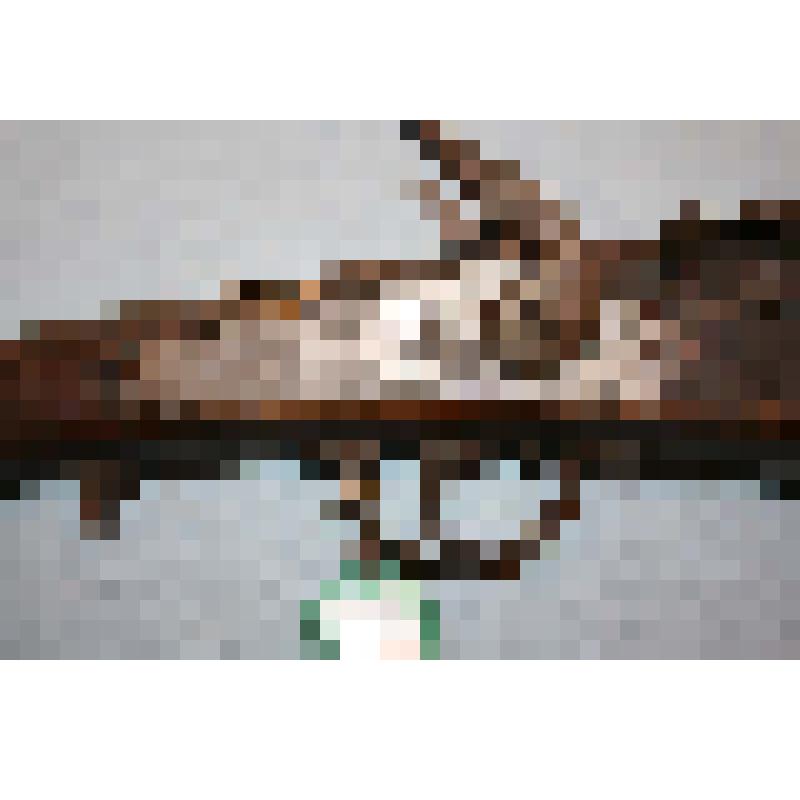 Обрез пехотного ружья системы «Крнка»