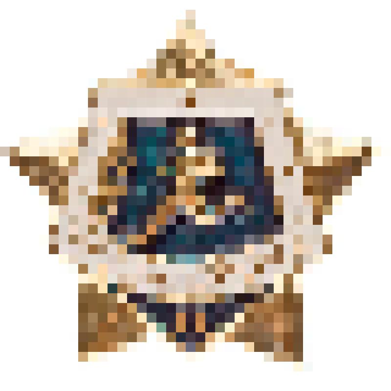 Знак "Воин-спортсмен" Каплина К.В., погибшего в Афганистане в 1985 г