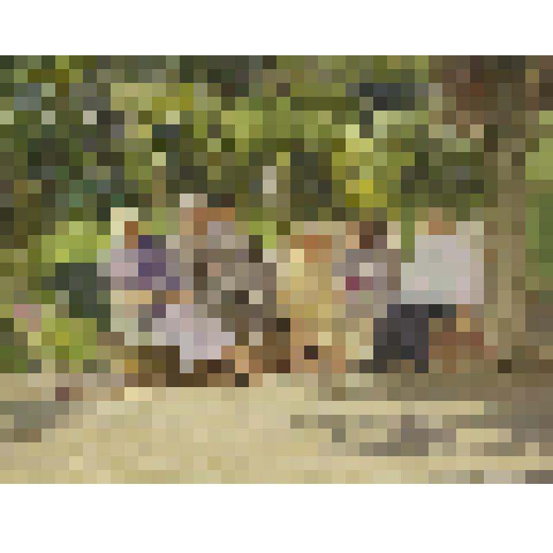 На лавочке. Этюд