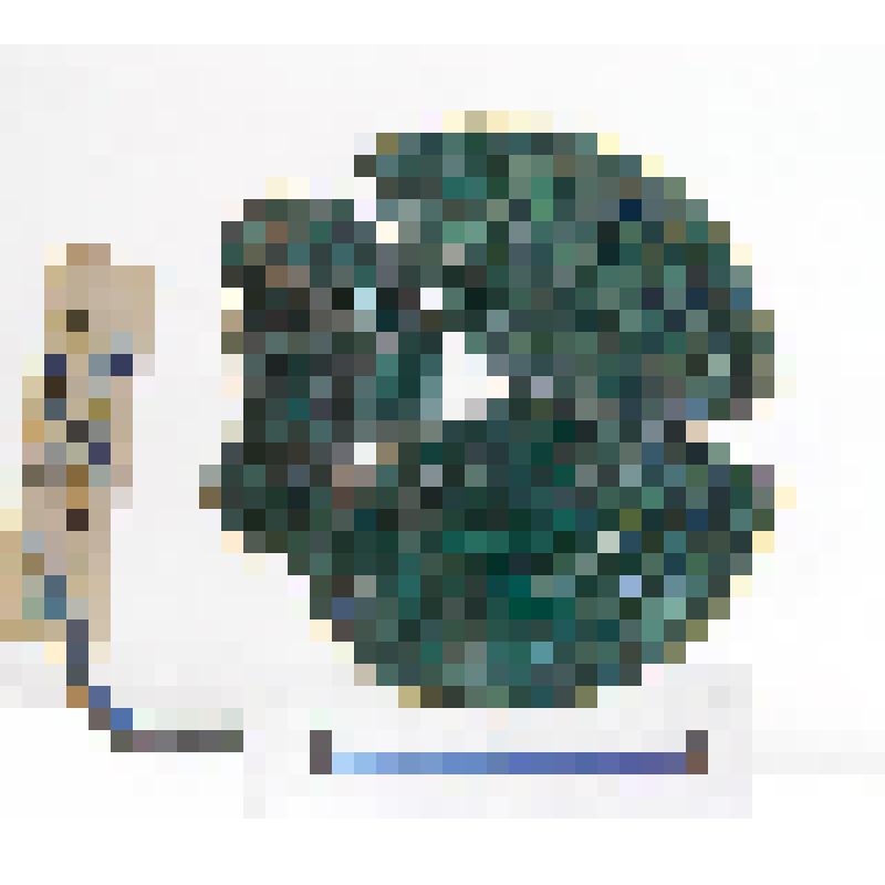 Бляшка с орнаментом