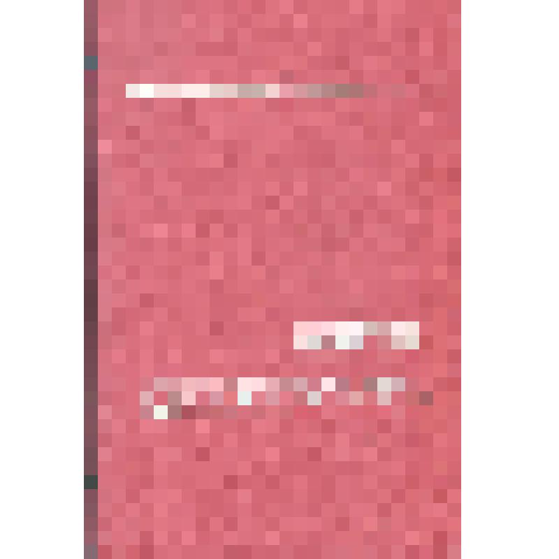 Книга. И.Г. Беликов и др. "Имени Дзержинского". Исторический очерк о боевом пути ордена Ленина, Краснознаменной дивизии имени Ф.Э. Дзержинского. Б.м., 1974 г