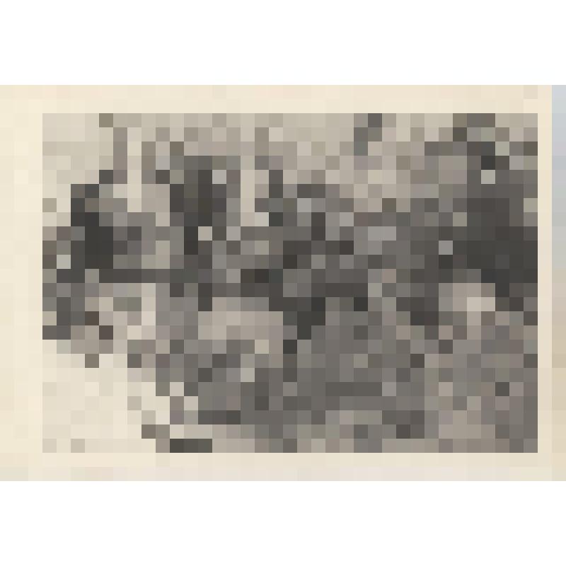 Фотография. Гребенщикова Анна Васильевна в группе учителей