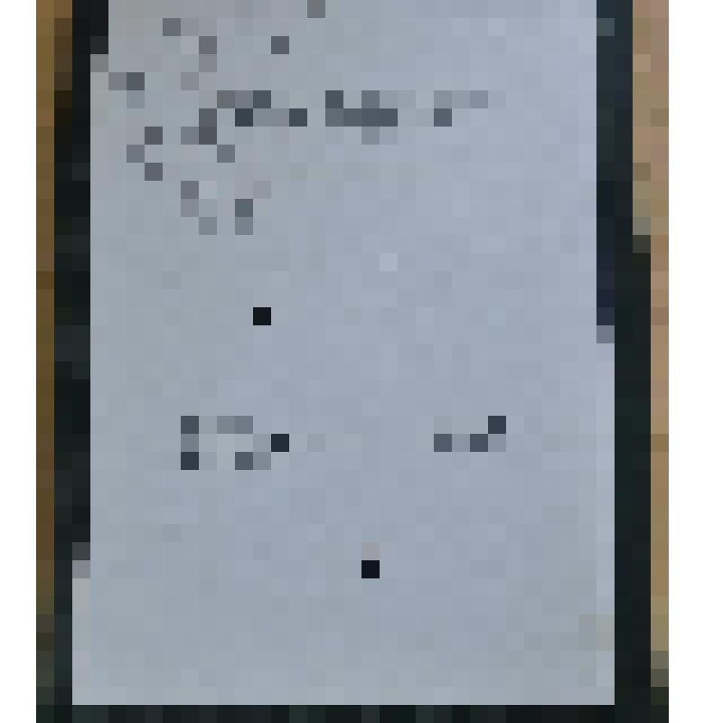 Работа курсовая на тему: "История села Чекмагуш" (Башкортостан)