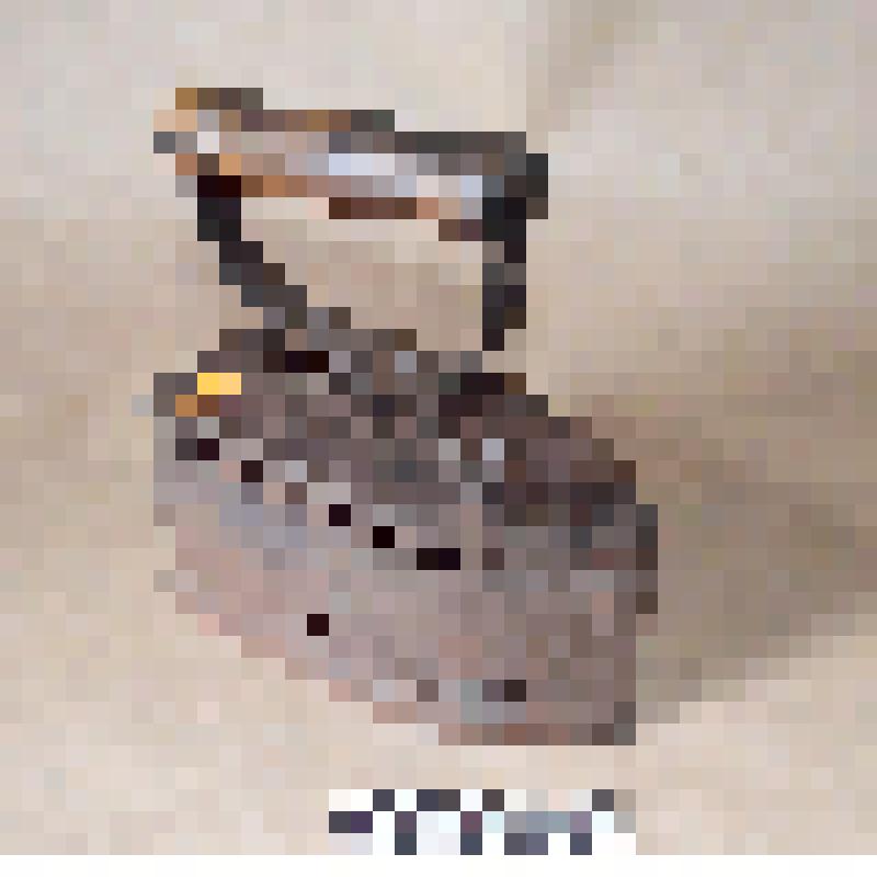 Утюг угольный