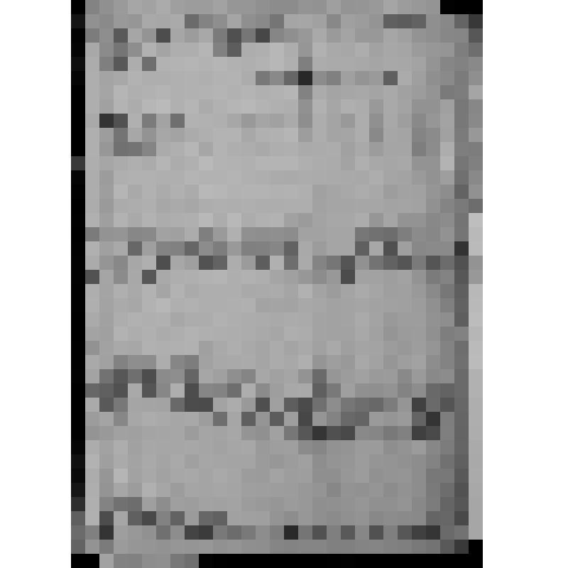 КОПИЯ РАПОРТА