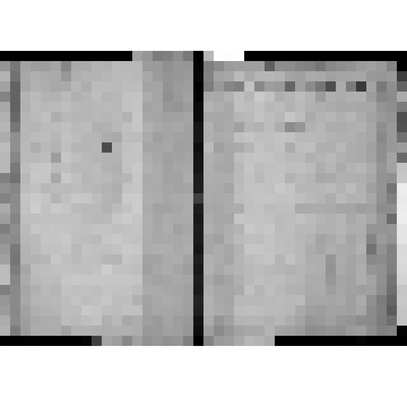 КОПИЯ РАПОРТА