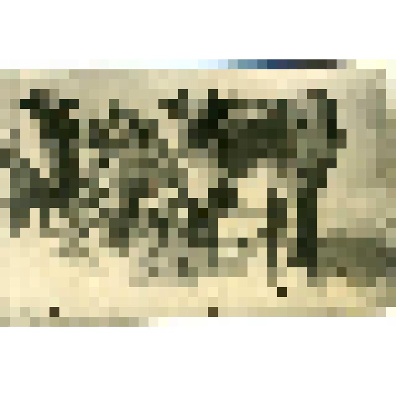 Зимняя оленья упряжка. Фотография