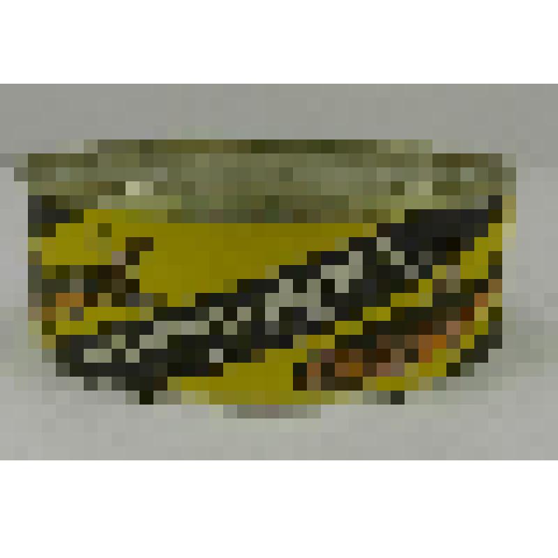 Банка консервная. Корюшка обжаренная в масле