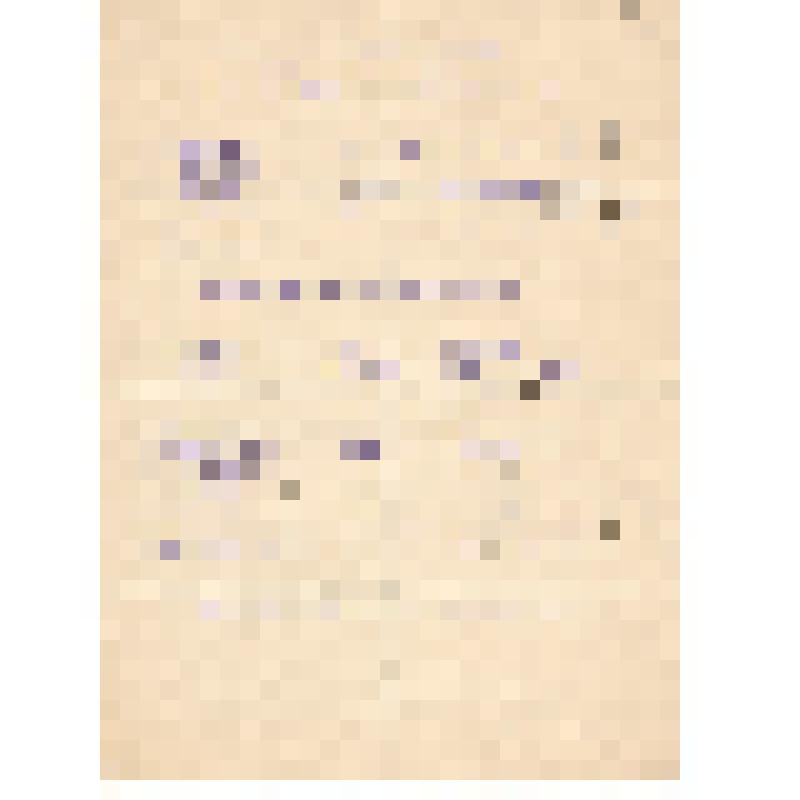 Программа вечера учащихся класса Ел.Ф.Гнесиной 3.03.1932 г