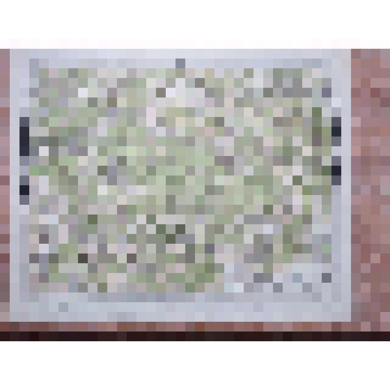 Специальная карта Европейской России (Десятивёрстка). Лист 3