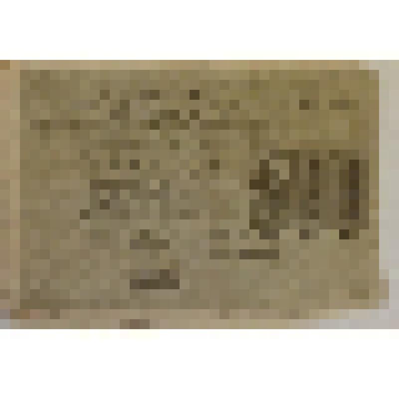 Расчетный знак РСФСР образца 1919 года. Номинал 500 рублей