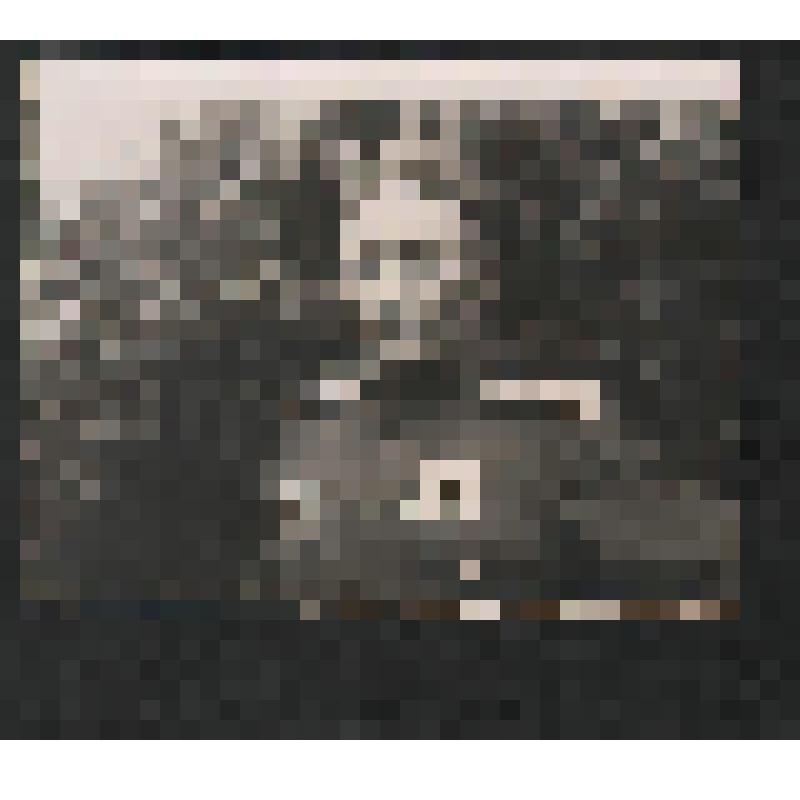 Фотография. Кузнецов С.Н., начальник химслужбы 56 истребительного авиаполка 283 истребительной авиадивизии, уроженец Удмуртии