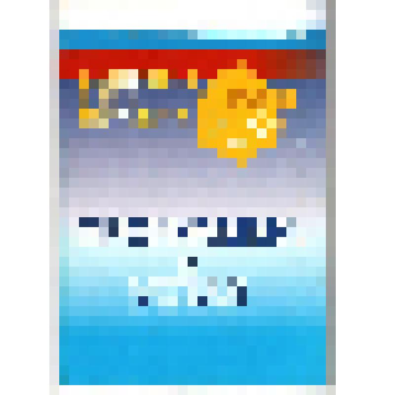 Брошюра.
Программа и устав
общероссийской общественной организации
«Российский Союз Молодёжи»