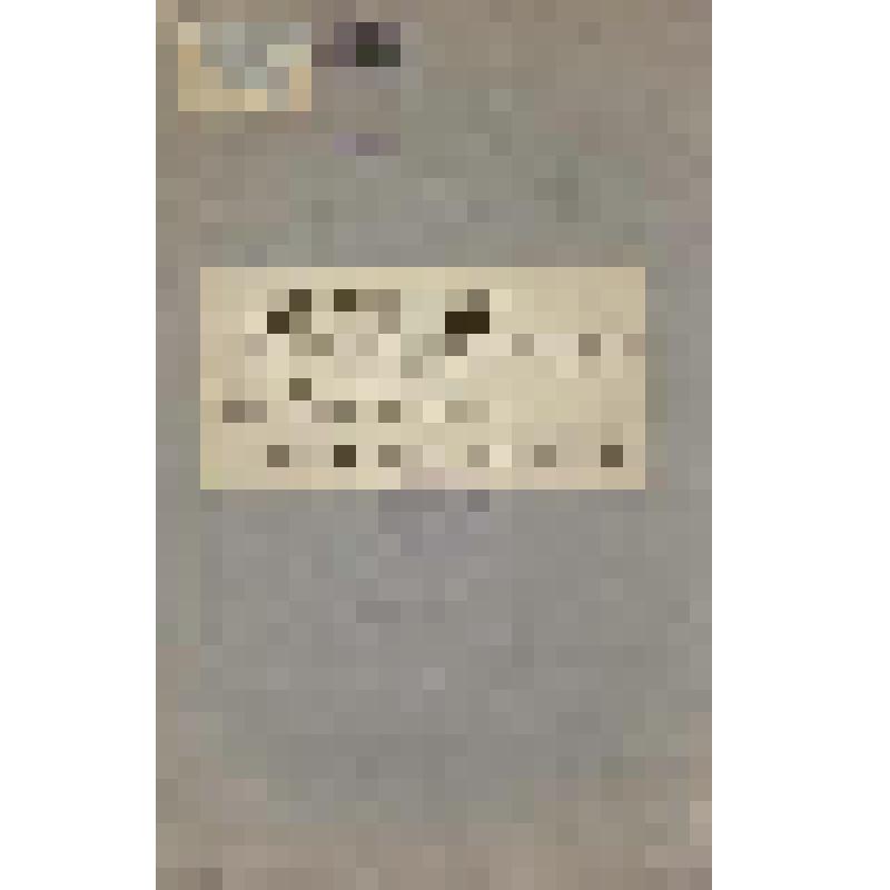 Документ. Программа почтово-телеграфного класса при Никольском женском училище