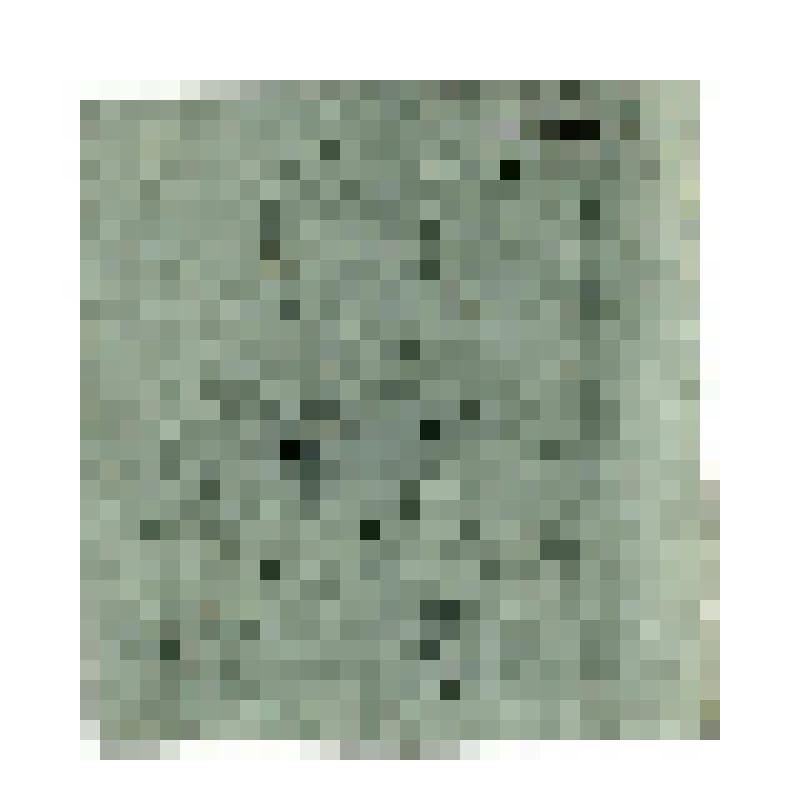 Иконный образец. Богоматерь Грузинская