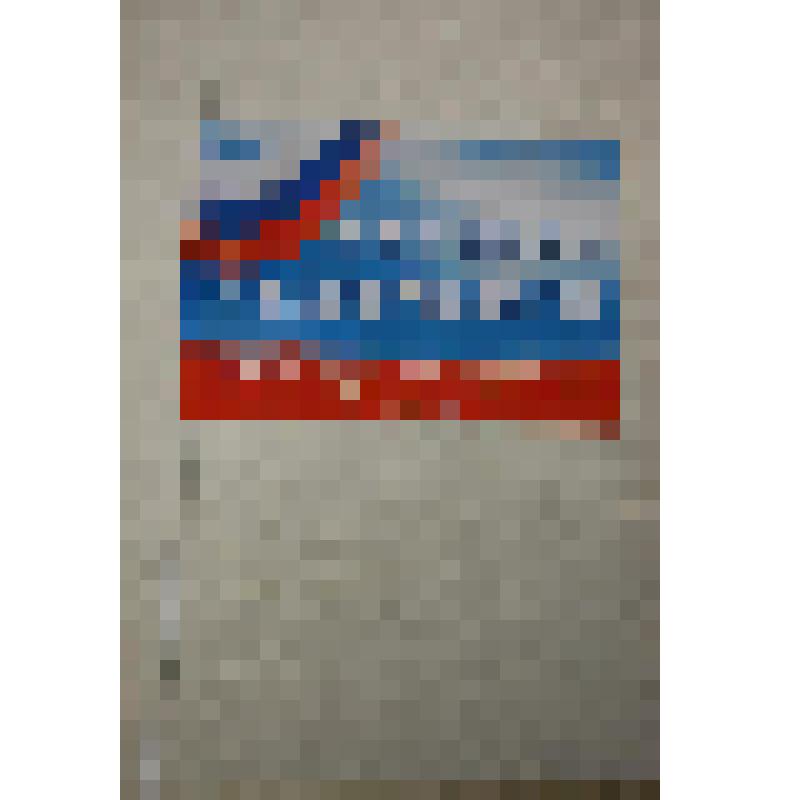 Флажок "Выборы президента России"
