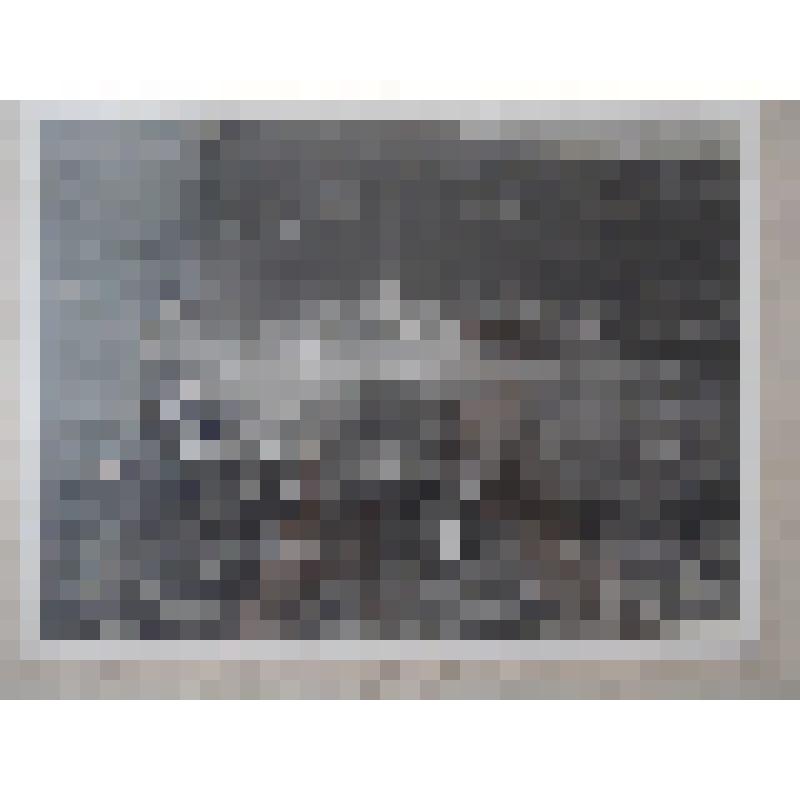 Фотография мотогонок в окрестностях Юрги