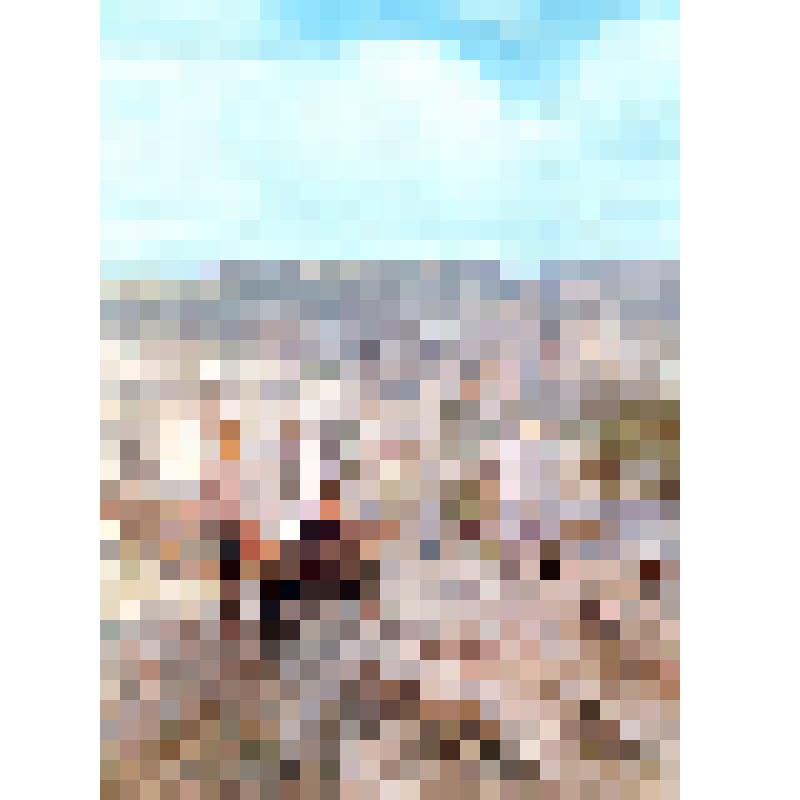 Комплект открыток «Приморье - Primorye», 10 шт