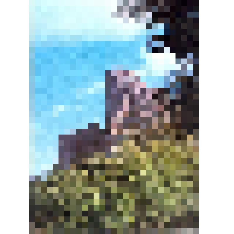 Комплект открыток «Приморье - Primorye», 10 шт