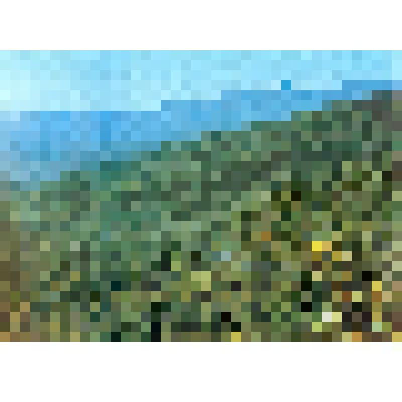 Комплект открыток «Приморье - Primorye», 10 шт