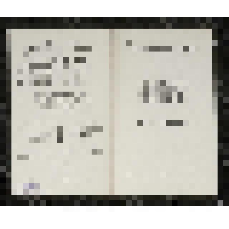 Программа. "Иван Сусанин" (Дирижер - Небольсин В.В. Режиссер - Баратов Л.В. Художник - Вильямс П.В.). Москва. Государственный академический Большой театр СССР