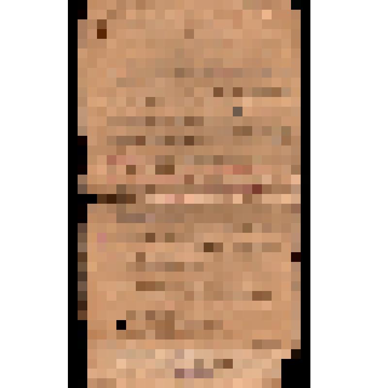 Выписка из книги приговоров общества станицы Горячеводской Пятигорского отдела Терской области за 1906 г. об участии в работе революционной партии жителя станицы П.Г. Лысенко