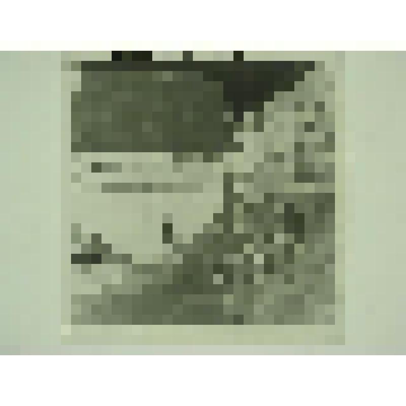 Дом А.П.Мартынова. Ул. П.Морозова, 10-12. втор.пол. XIX в. Челябинская  обл., г. Карабаш, пос. Южный (с.Саймоновское). Дом А.П.Мартынова. Ул. П.Морозова, 10-12, втор.пол. XIX в. Крытый двор по северной границе участка