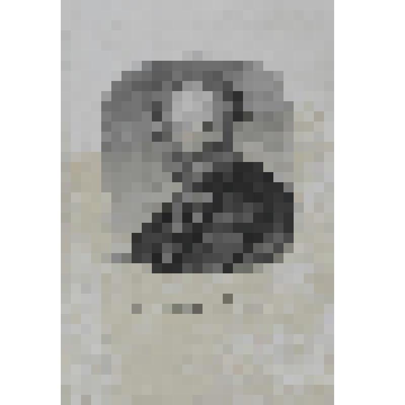 Портрет Геннеля