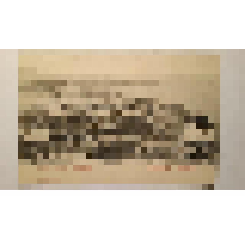 Украина, г. Одесса. Вид гавани. Панорама. Издатель не указан