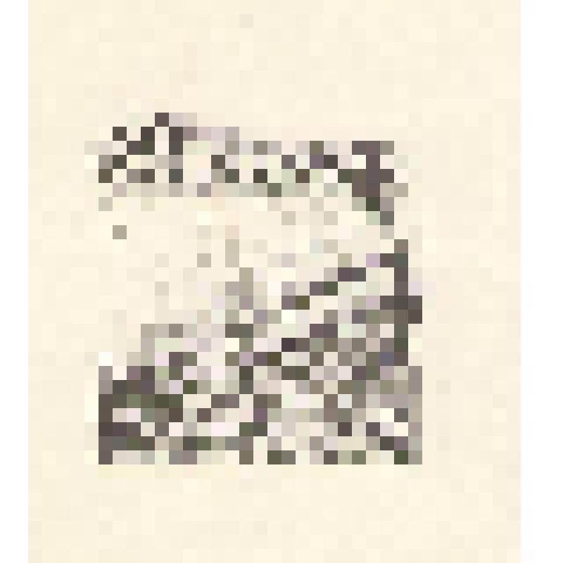 экслибрис. Экслибрис Леонида Строковского. Коллекция экслибрисов из архива Г.Н. Петникова