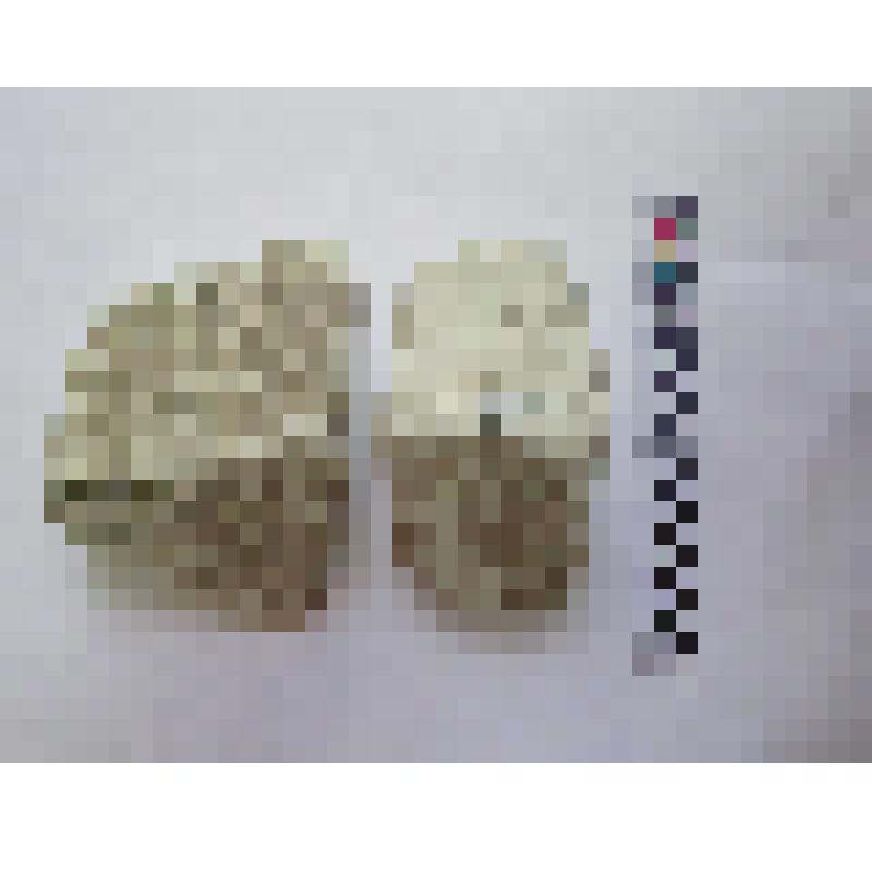 Фрагмент архитектурной детали