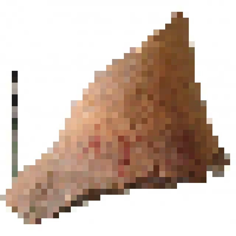 Фрагмент нижней части горла амфоры типа D с дипинто