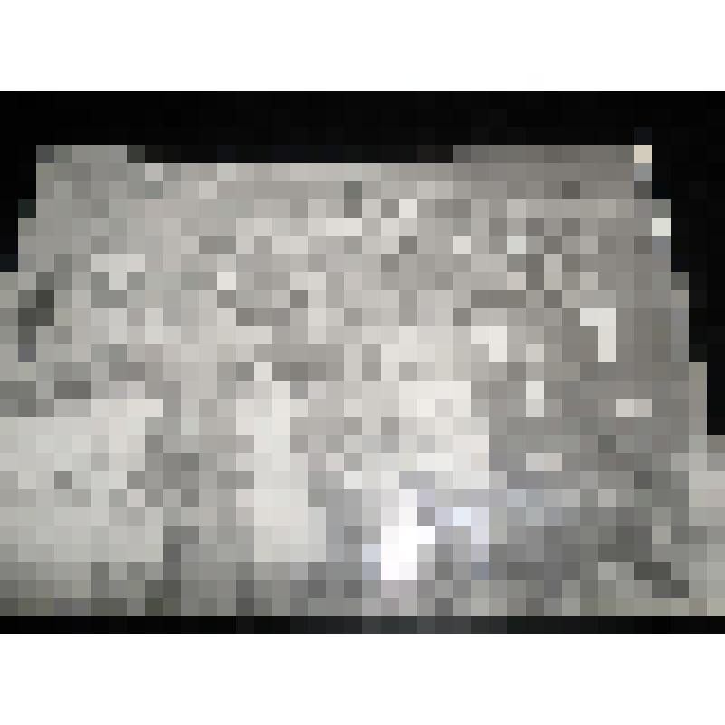 Фотография ч/б. "Совещание культработников Бабушкинского района"