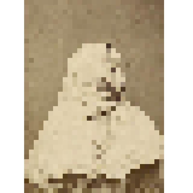 Фотоотпечаток. Арчинка в национальном головном уборе. Арчинцы