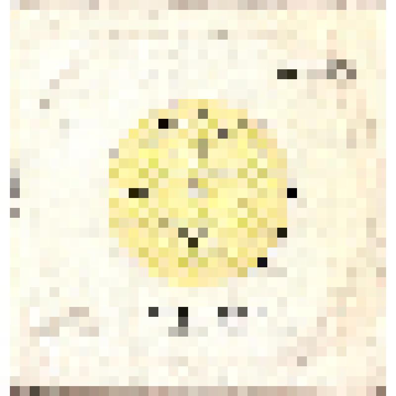 Пластинка. Песни Бориса Савельева