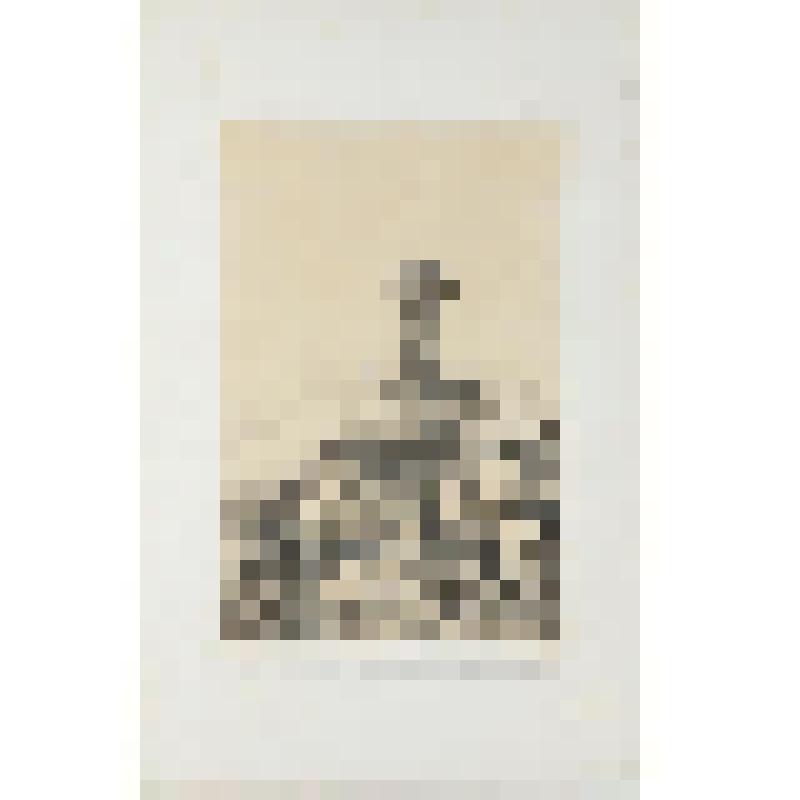 Литография. "Санкт-Петербург. Пожарная каланча и полицейский участок на Большой Морской."