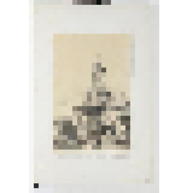 Литография. "Санкт-Петербург. Пожарная каланча и полицейский участок на Большой Морской."