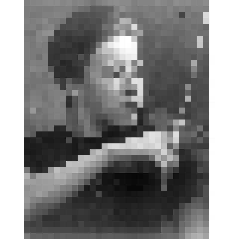 Негатив. Реноди М.Н. - французская скрипачка