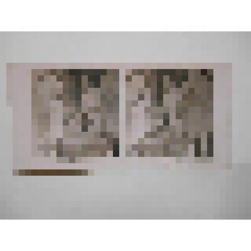 Франция, Версаль. Скульптура Филиппа Орлеанского. Прадье. Общ. вид. Neue Photographische Geseltschaft A. G. Berlin-Steglitz 1903
