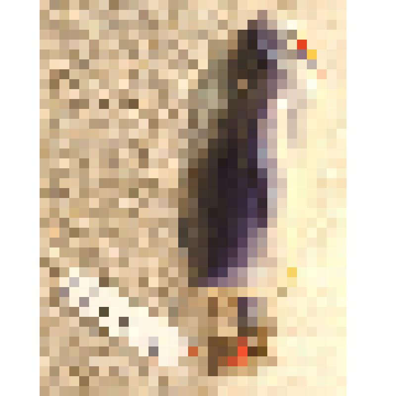 Игрушка елочная «Пингвин», из коллекции елочных игрушек и украшений