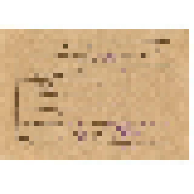 Аттестат на испытание масло-радиатора № 72567. Из формуляра мотора М- 105 ПФ 3-1698 к самолету ЯК-1 (заводской номер 08110)