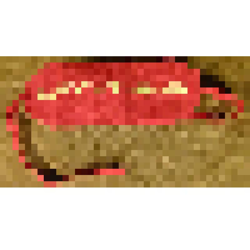 Повязка  нарукавная "Дружинник"