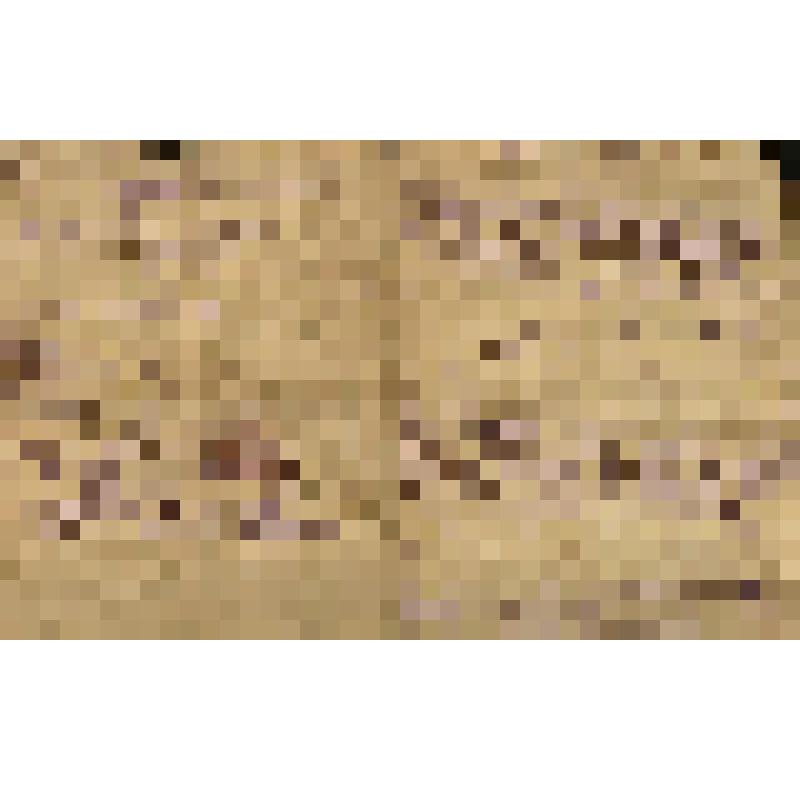 Документ. Письмо Корлюкова А.М. от 04.08.1943 г