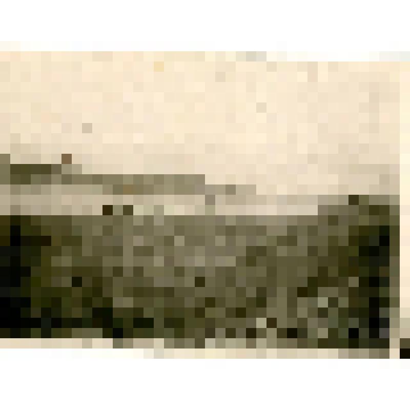 Фотография. Колымский караван у Кюсюра