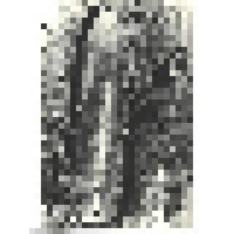 Фотографии. Фото ч/б. Неразорвавшийся немецкий снаряд. Такими снарядами, весом в одну тонну, немецкие фашисты обстреливали сражающийся Севастополь, июнь 1942 г