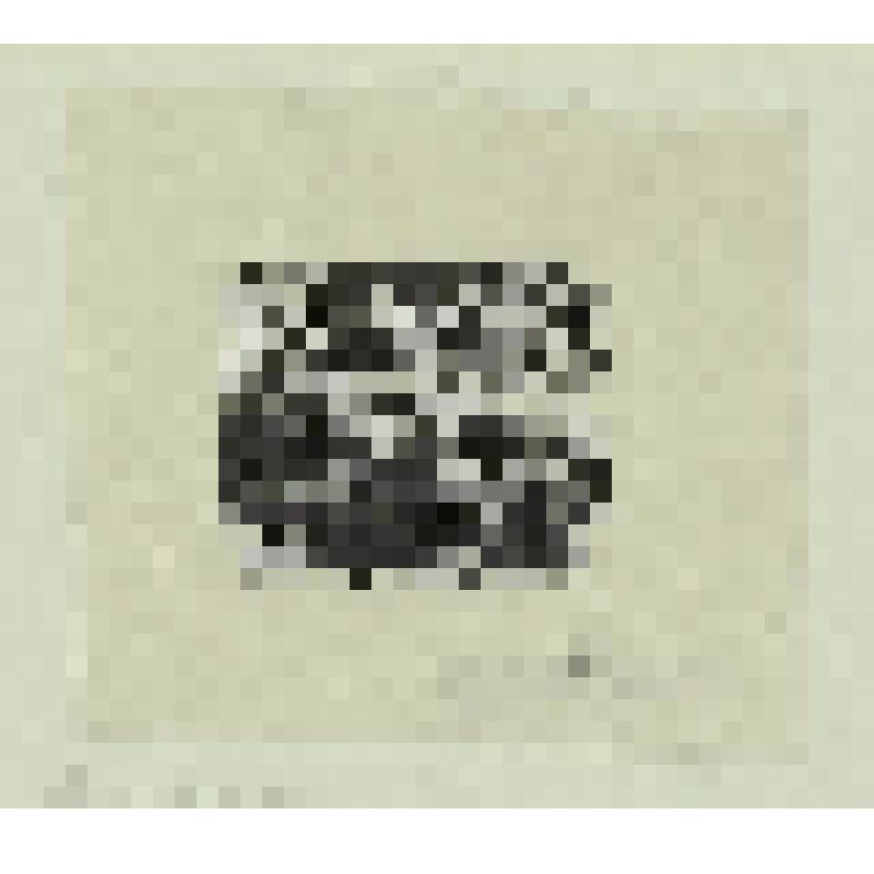 Концовка к стихам Ф. И. Тютчева. гравюра